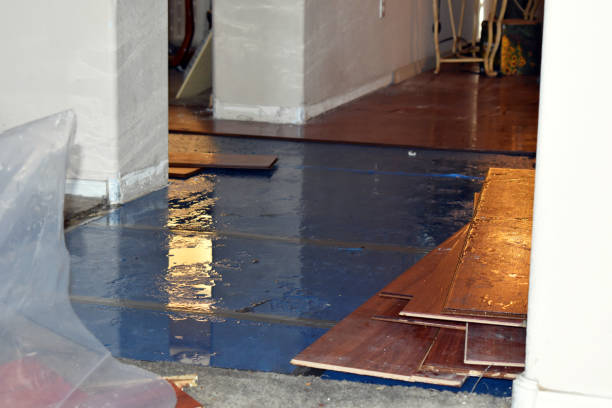 Professional Burst Pipe Cleanup technician working in Cedar Creek, TX