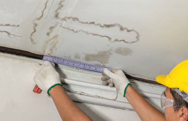 Reliable Burst Pipe Cleanup contractor in Cedar Creek, TX by Local Water Damage Repair